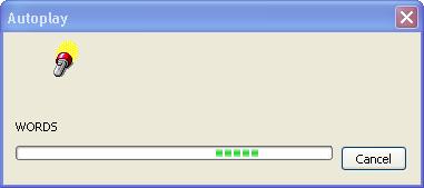 Windows attempts to detect the type of content on the disc Windows attempts to detect the type of content on the disc