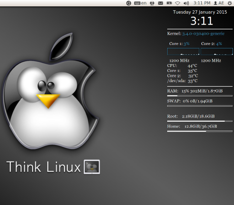 conky on Unity desktop