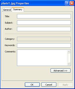 File Properties dialog box
