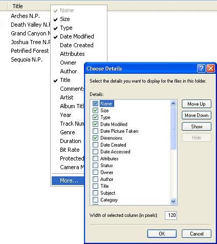 Choose Details dialog box