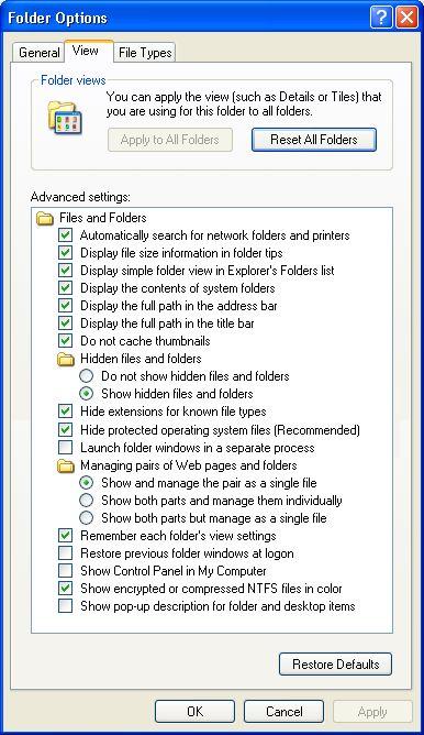 Folder Options View tab