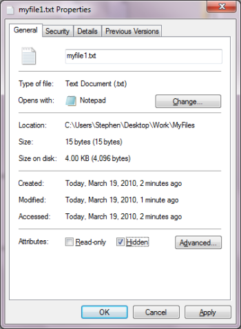 The file's Properties dialog box