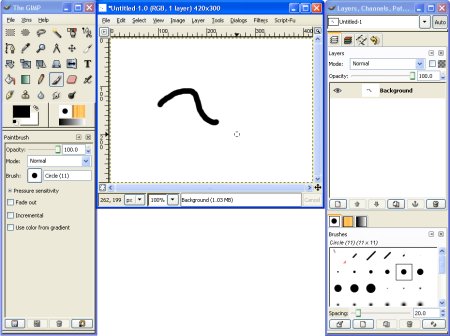 Using the default configured brush Using the default configured brush