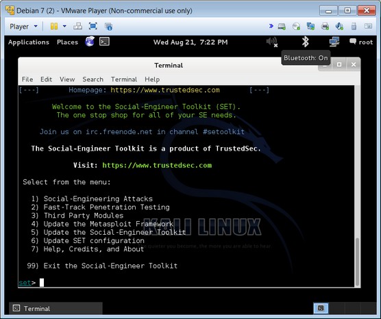 Using Kali and VMware virtualization Using Kali and VMware virtualization